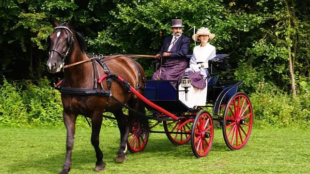 Guide d'achat des chaises de bureau ergonomiques