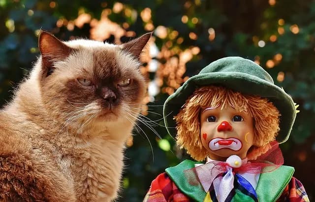 Ultimate Guide to Top Interactive Cat Toys
