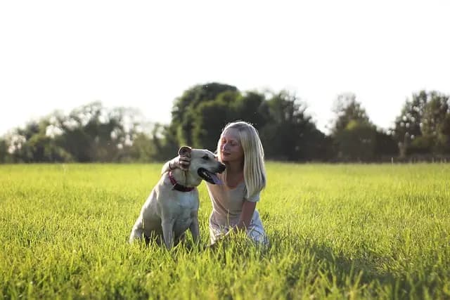 Best Pet Tracking Devices - Find Your Perfect Fit