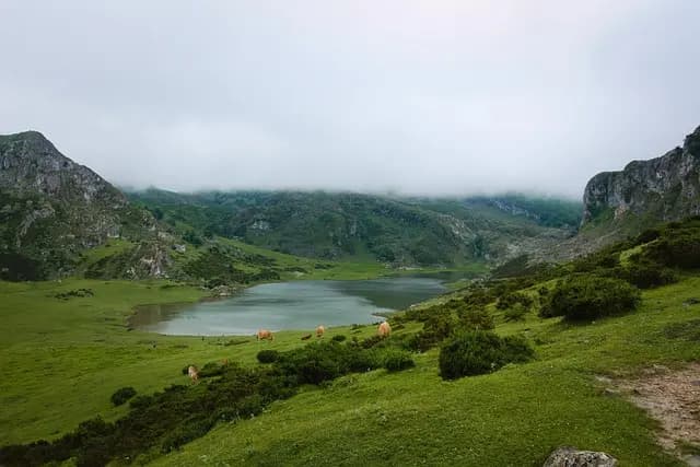 Principales Festivales de Poesía en Europa