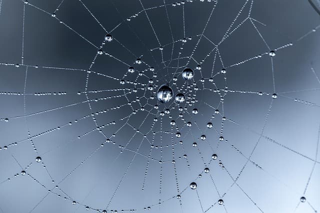 Usabilidad en Diseño Web: Errores Comunes a Evitar