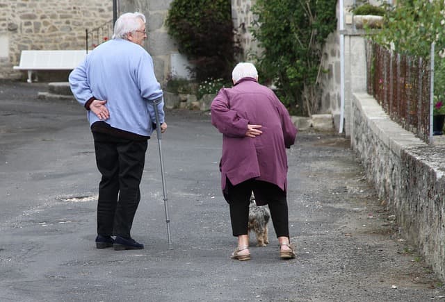 Complete Guide to Senior Cat Care